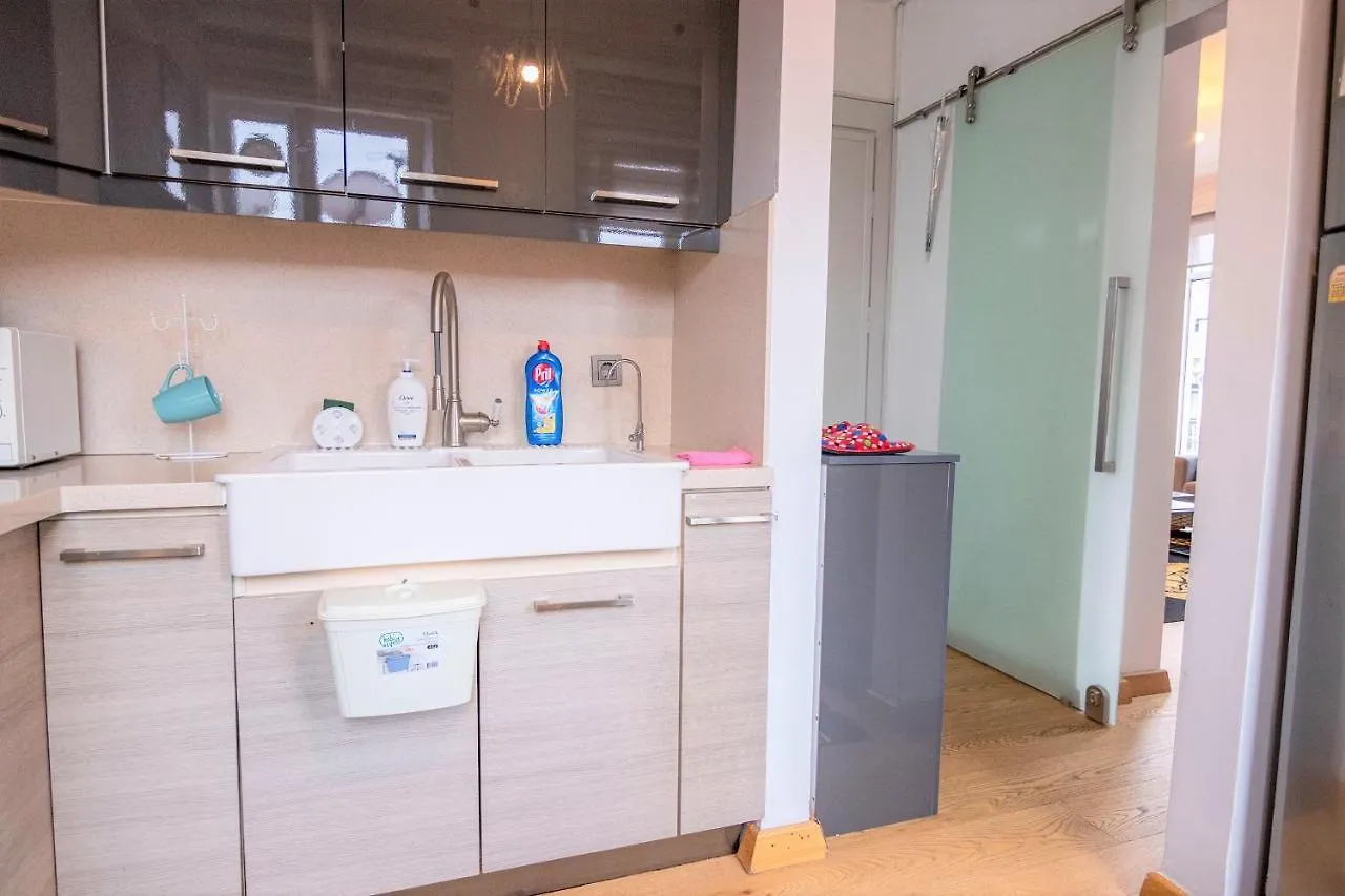 Taksim Roya Apartment -Center Of The Istanbulská provincie Turecko