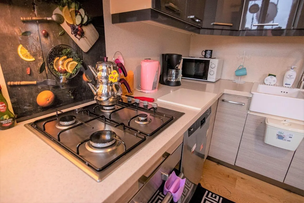 Taksim Roya Apartment -Center Of The Istanbulská provincie